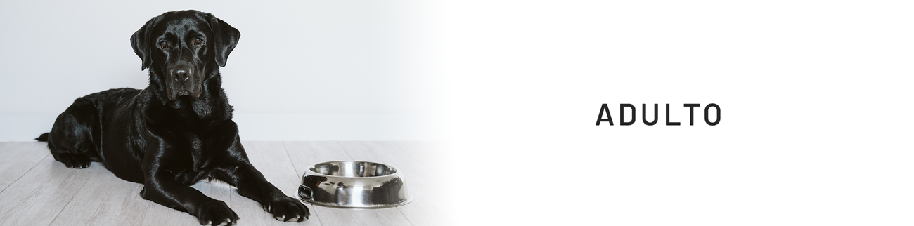 Alimento Perro Adulto