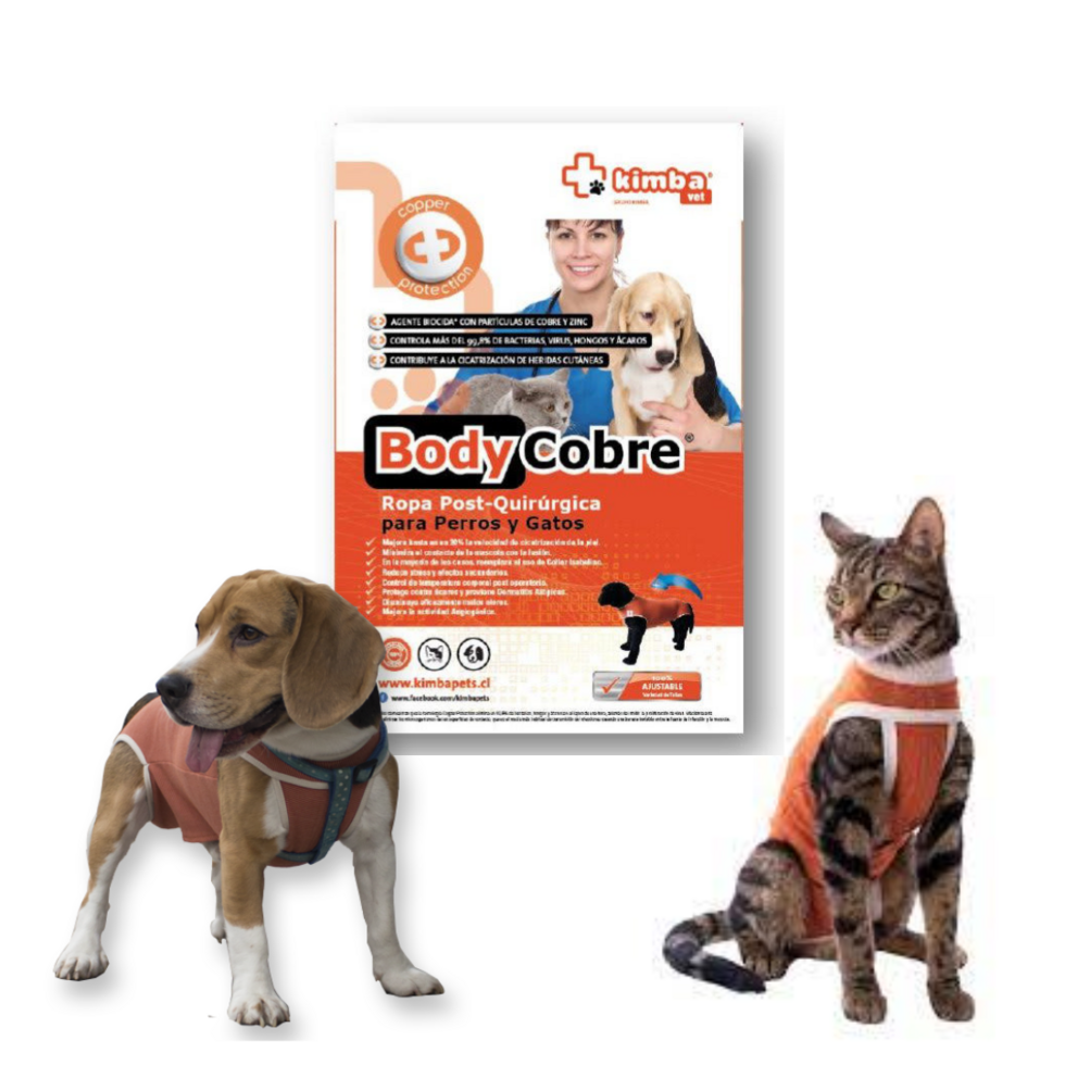 Body Cobre Tradicional