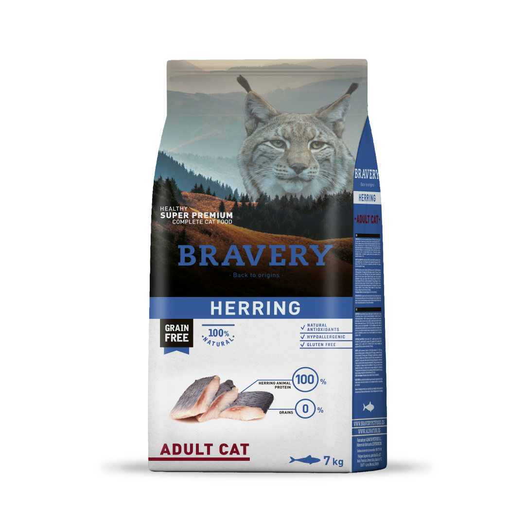 Bravery Cat Adult Herring