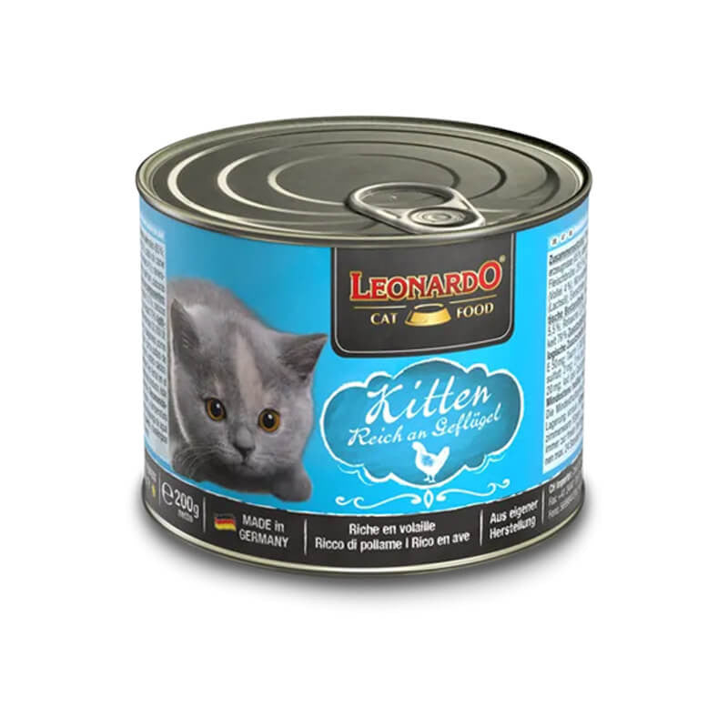 Leonardo Lata Kitten