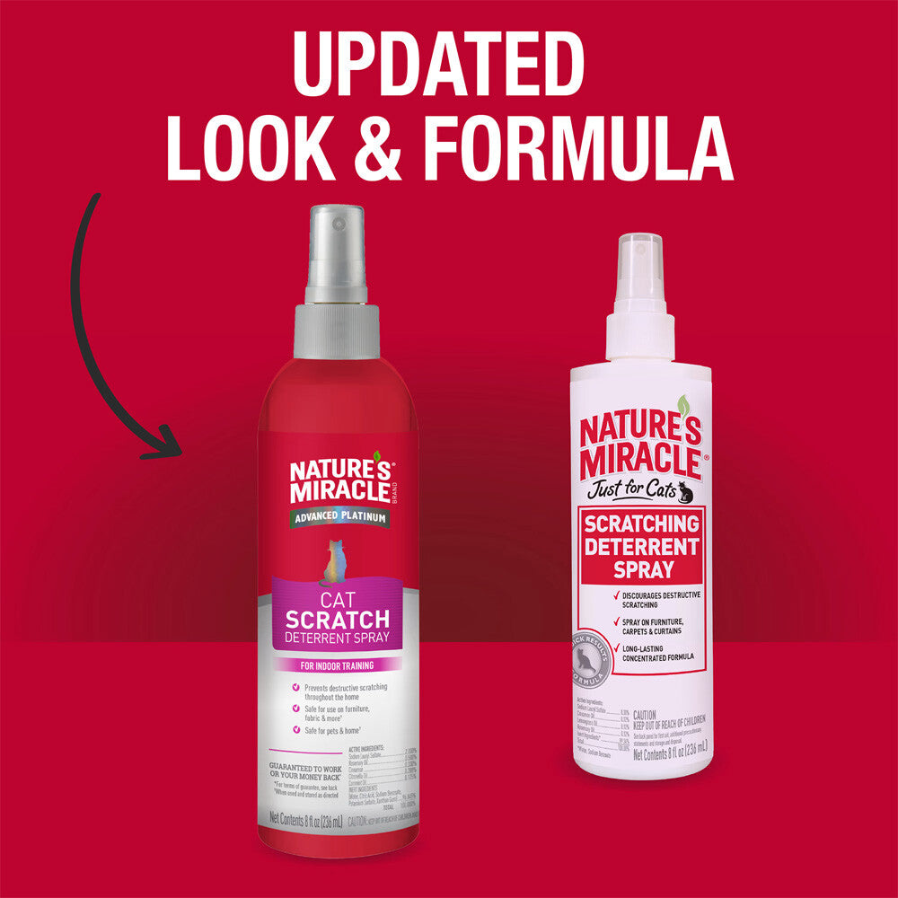 Natures Miracle Scratching Cat