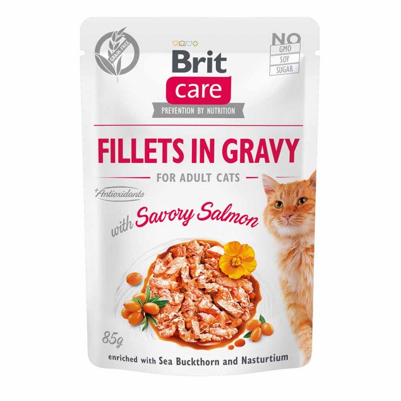Brit Care Pouch Cat Adult Salmón