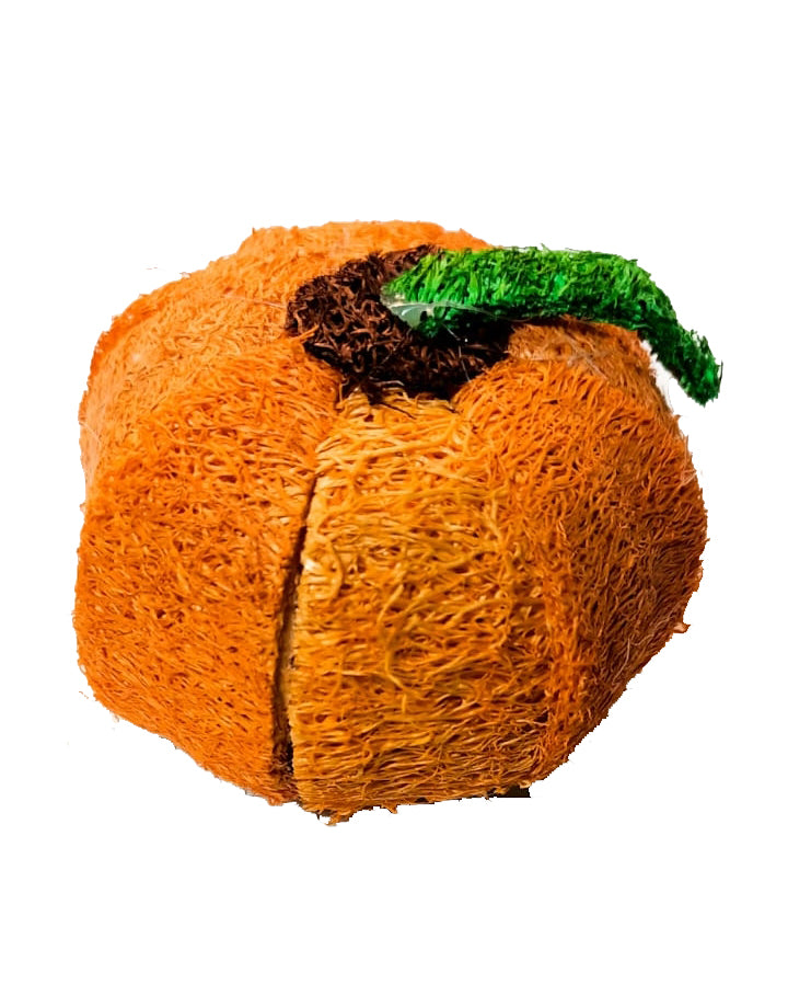 Calabaza Luffa