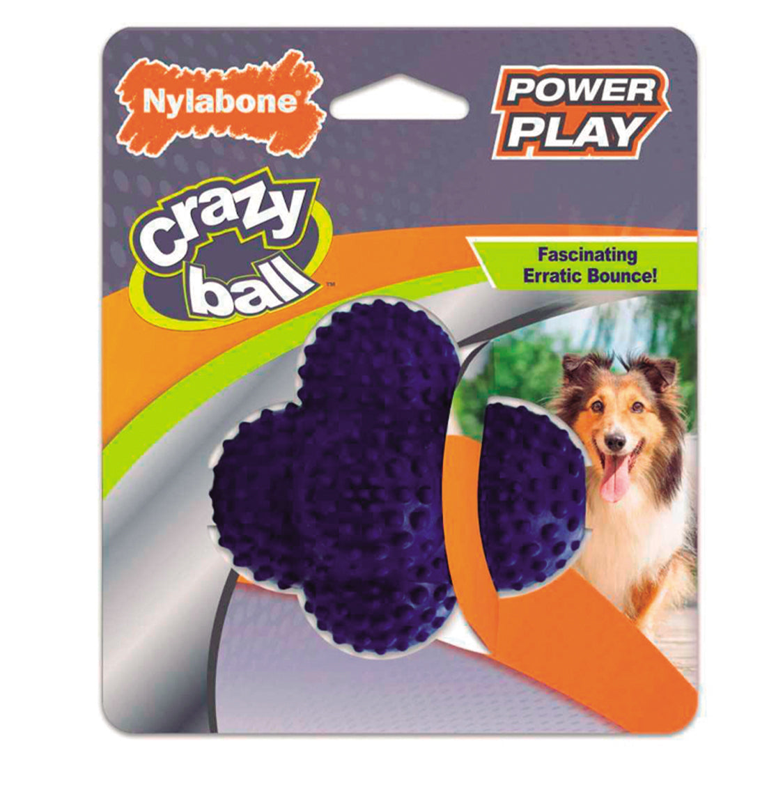 Nylabone Crazy Ball