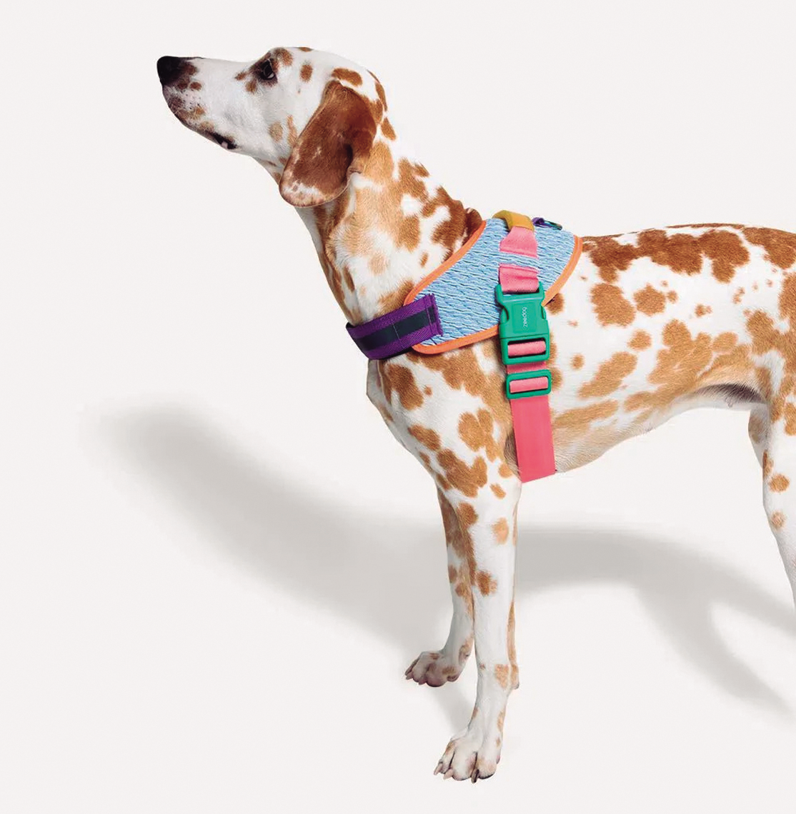 Arnés Flyharness Galaxy ZeeDog