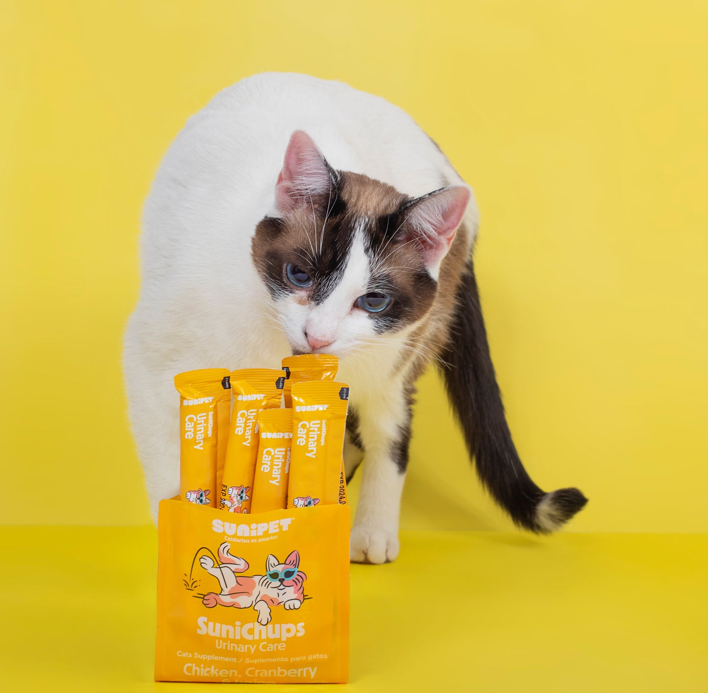 SuniChups Urinary Care 4 Sticks | SuniPet