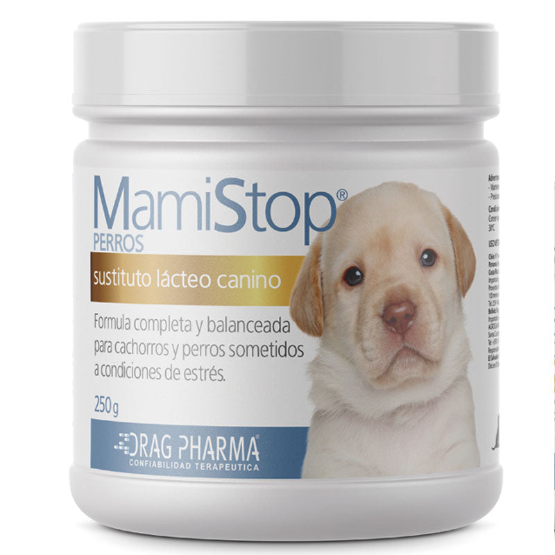 Mamistop Perro