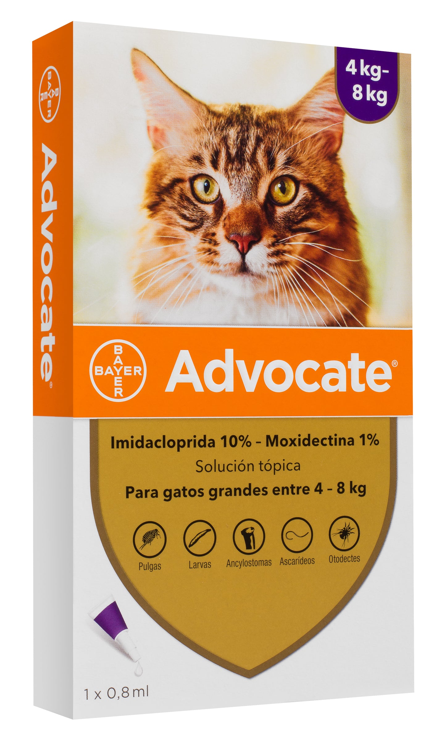 Advocate