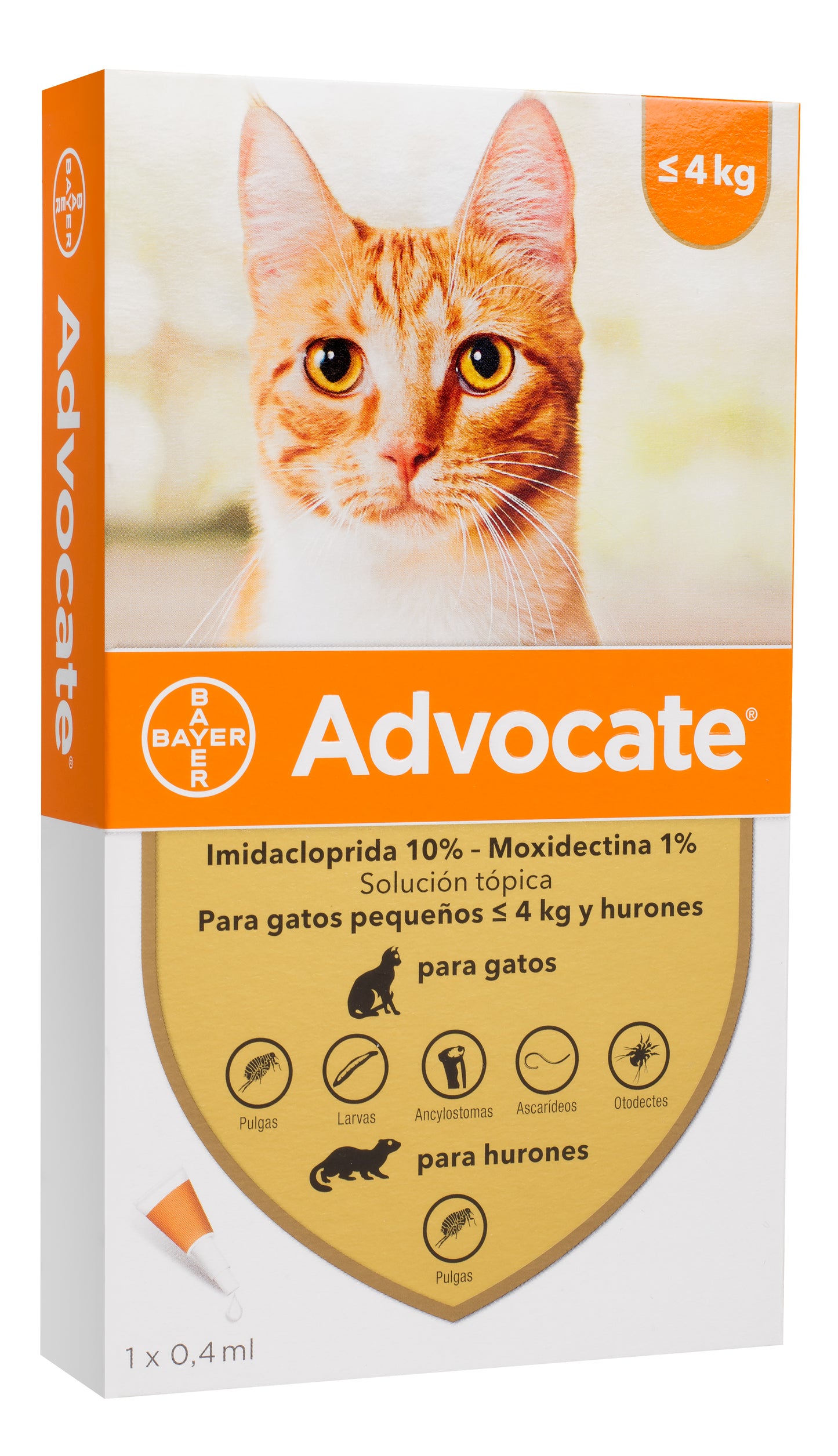Advocate