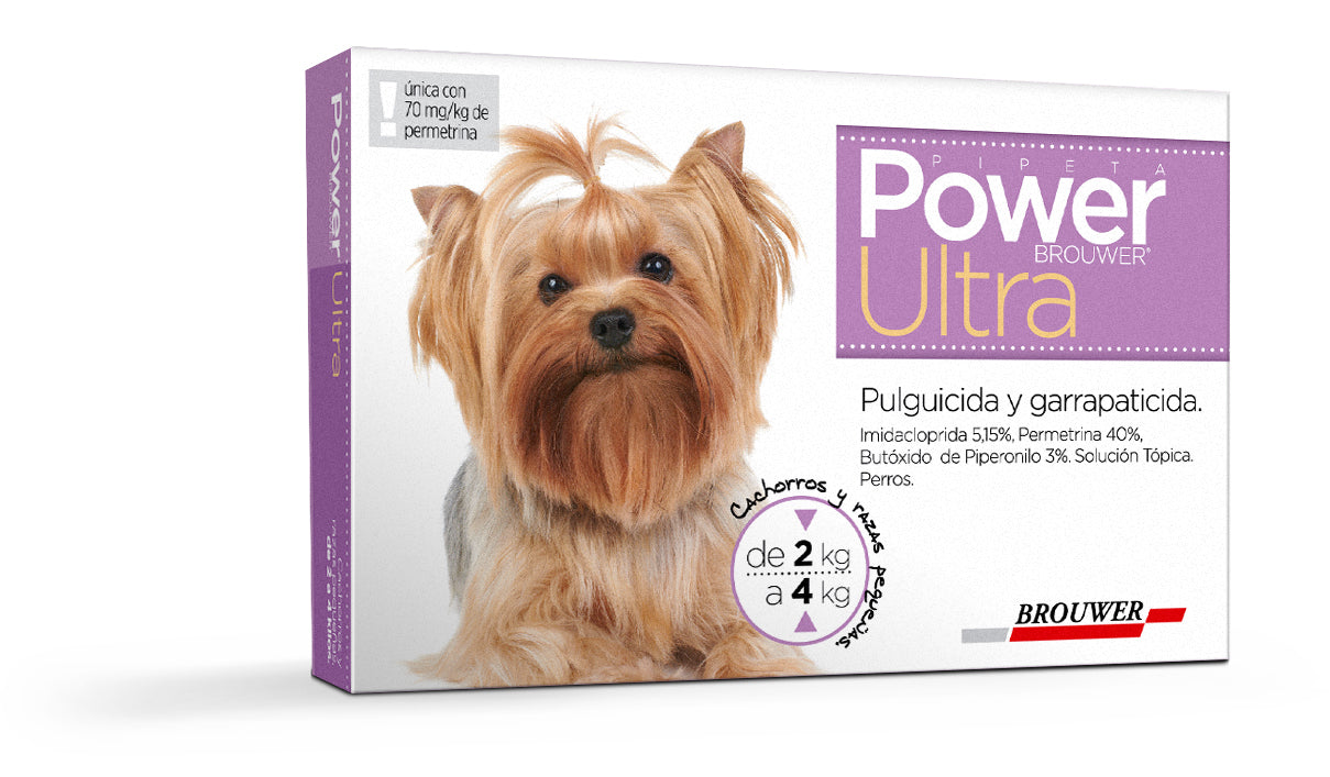 Power Ultra 2kg - 4kg