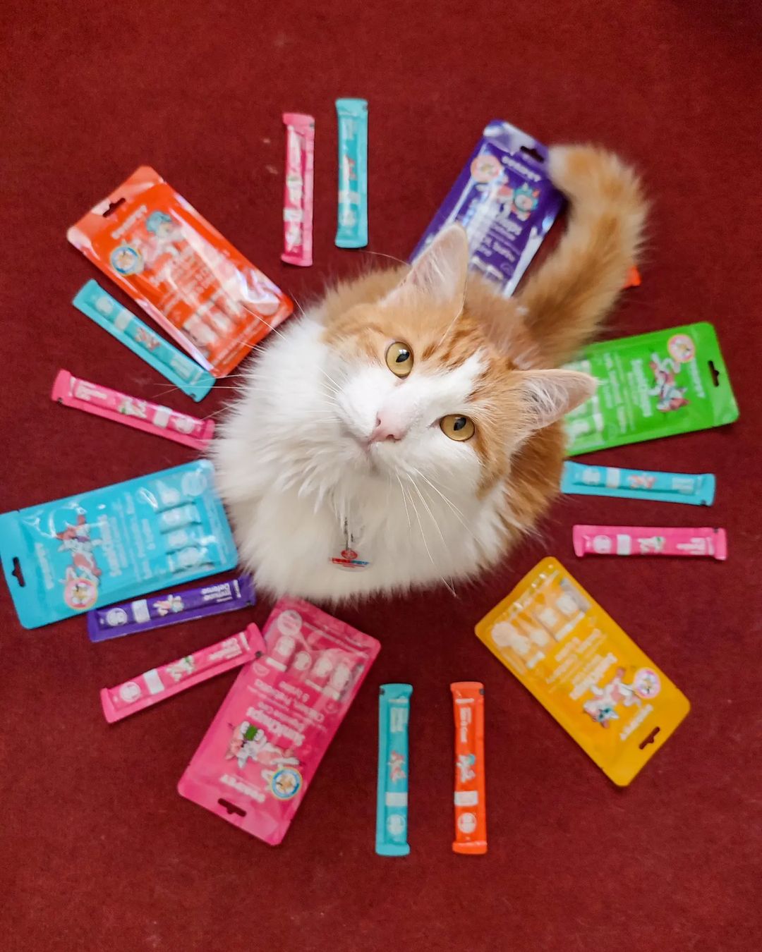 SuniChups Digestive Care 4 Sticks | SuniPet