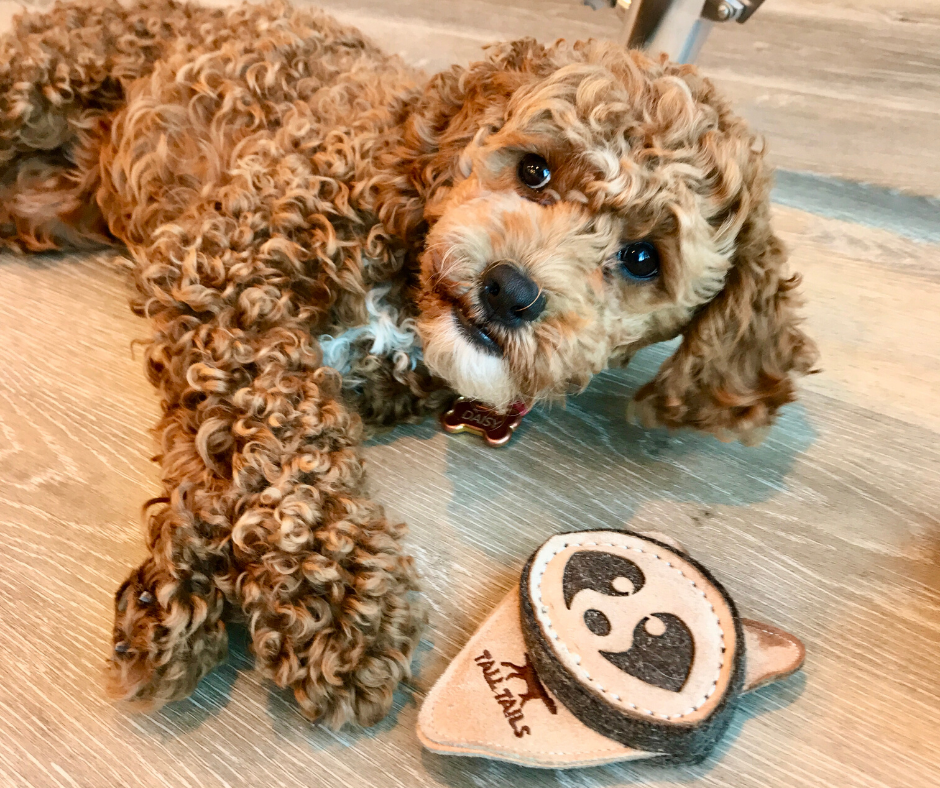 Tall Tails Mapache Con Cuero Natural y Lana