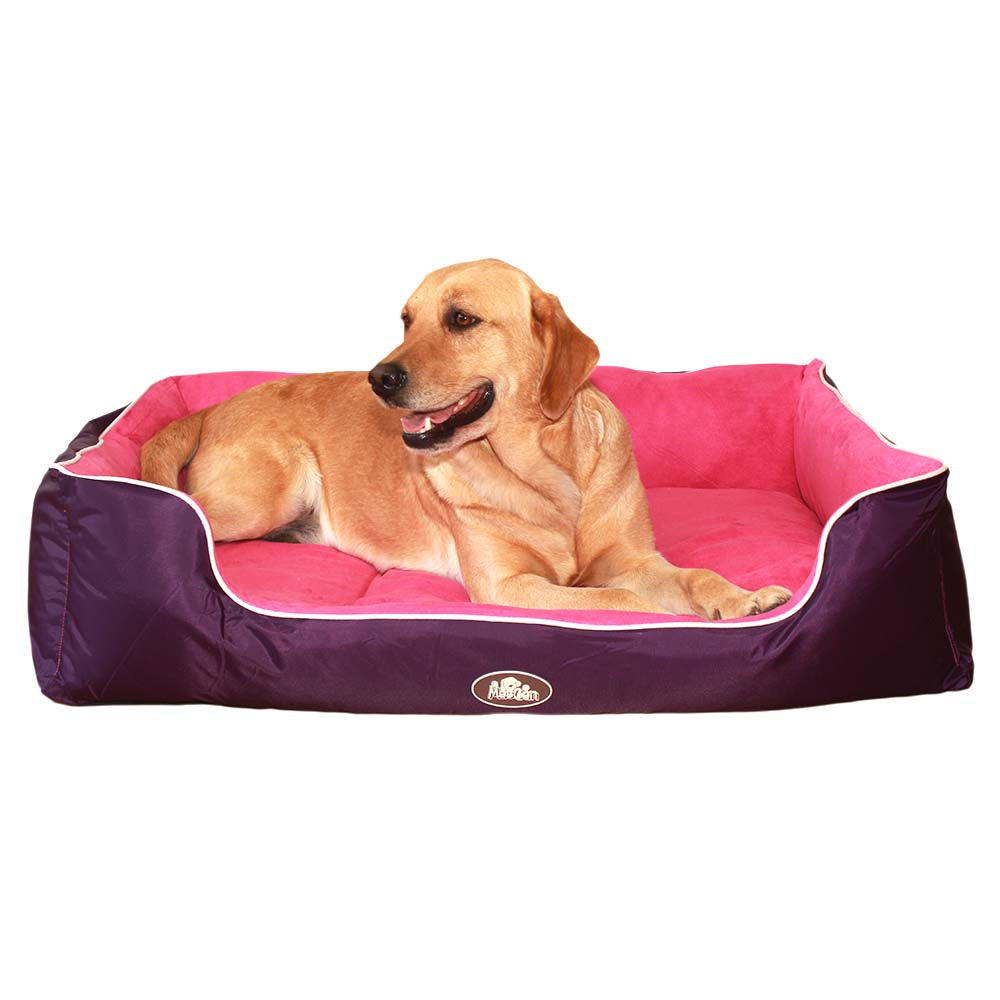 Cama Reversible Doble Morado Mascan