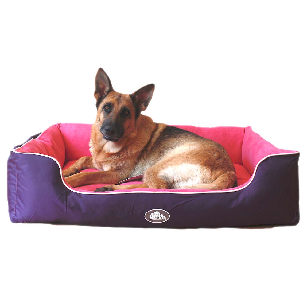 Cama Reversible Doble Morado Mascan