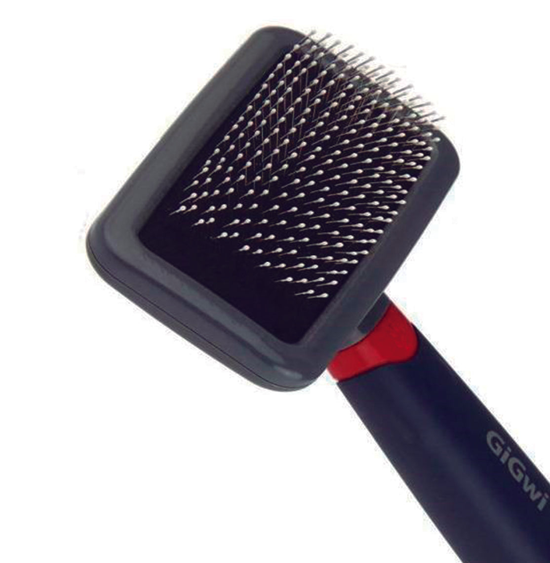 Gigwi Cepillo Simple