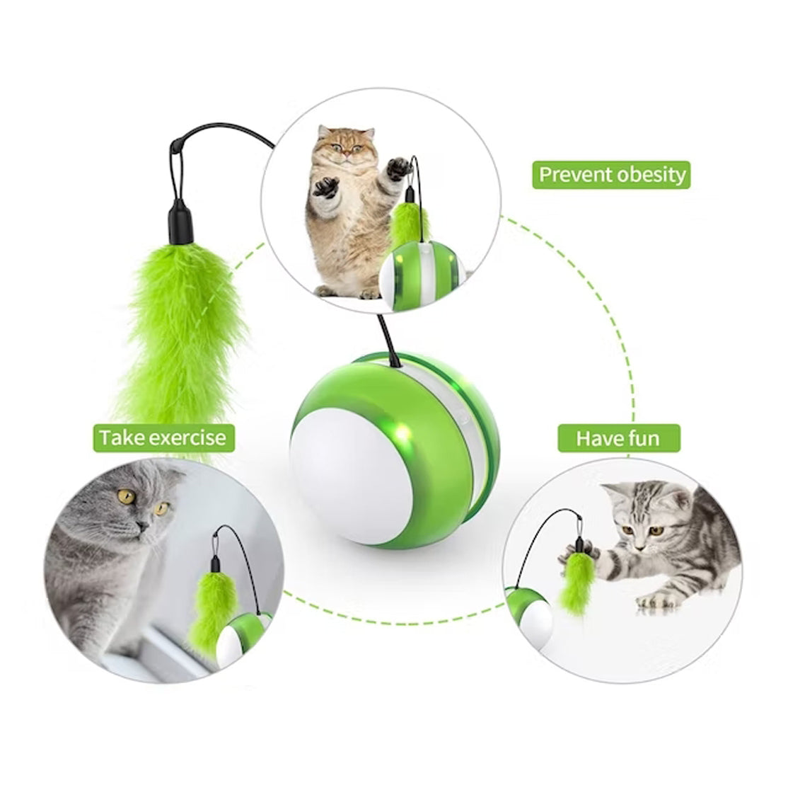 Bola Interactiva para Gatos