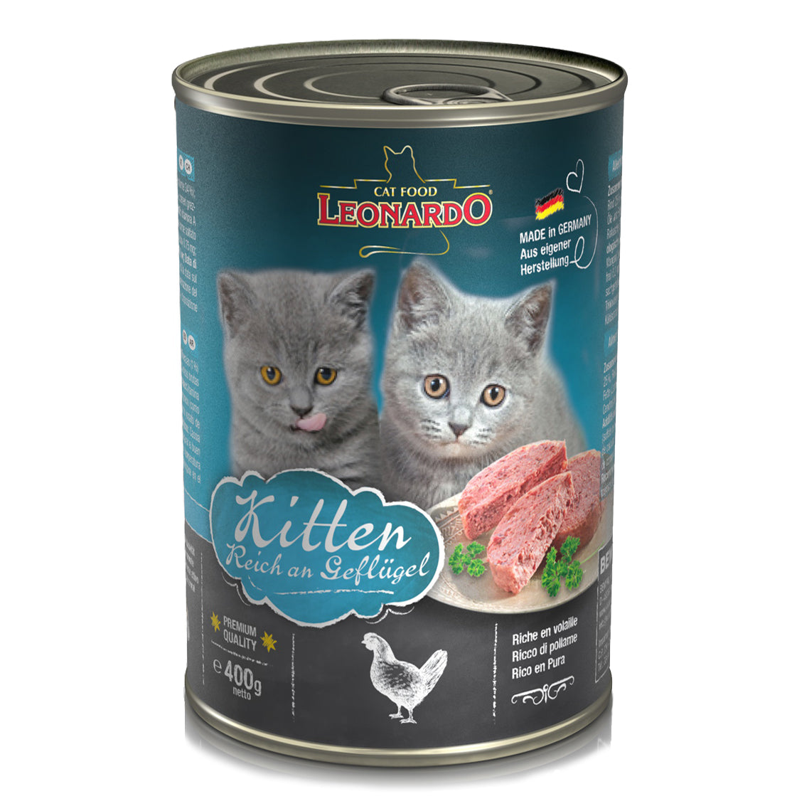 Leonardo Lata Kitten