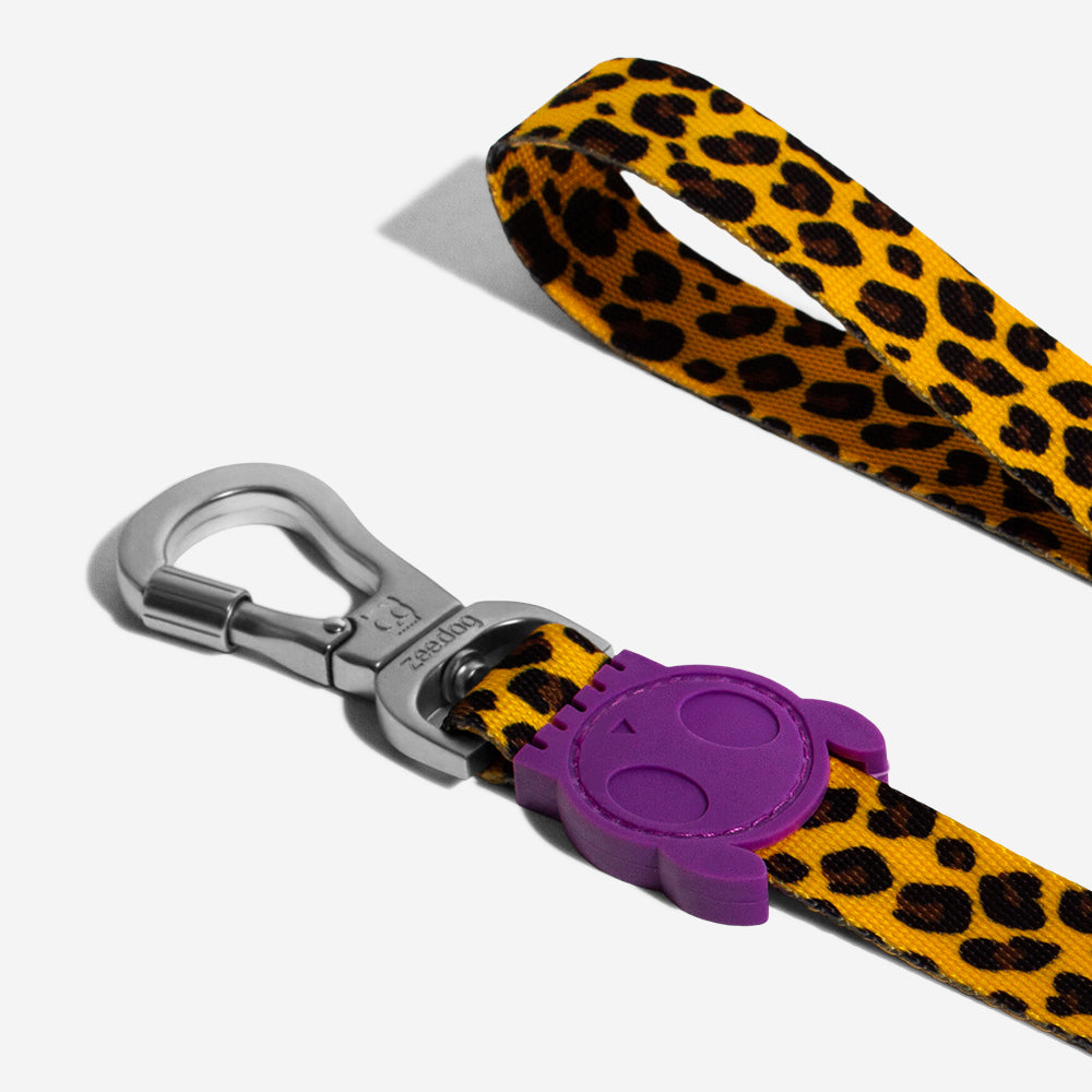 Honey Leash ZeeDog