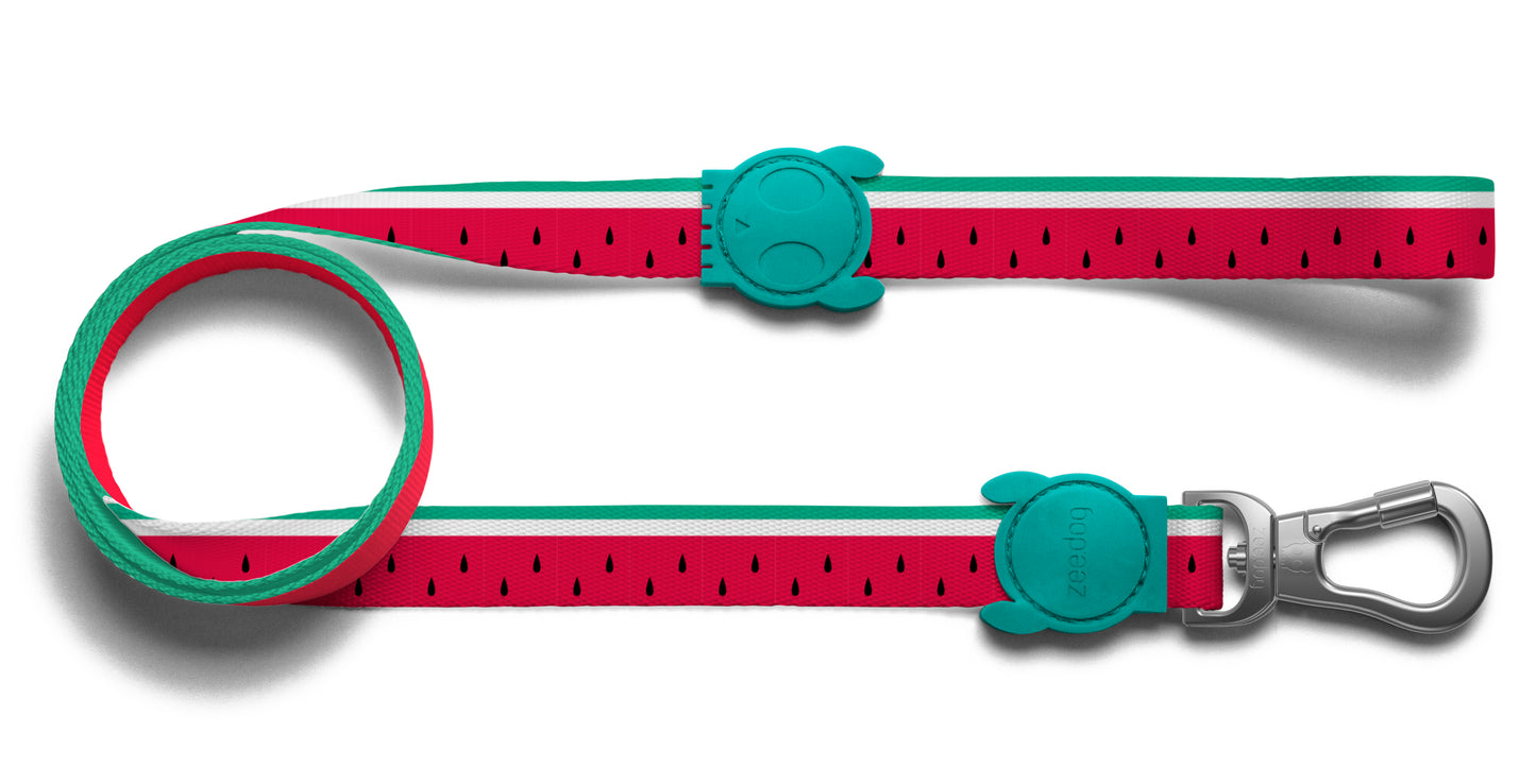 Lola leash ZeeDog
