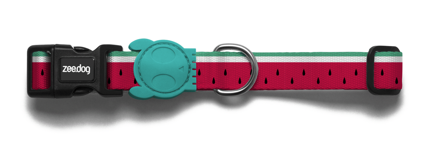 Lola collar ZeeDog