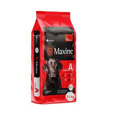 Maxine Adulto