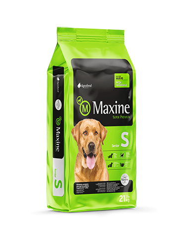 Maxine Senior
