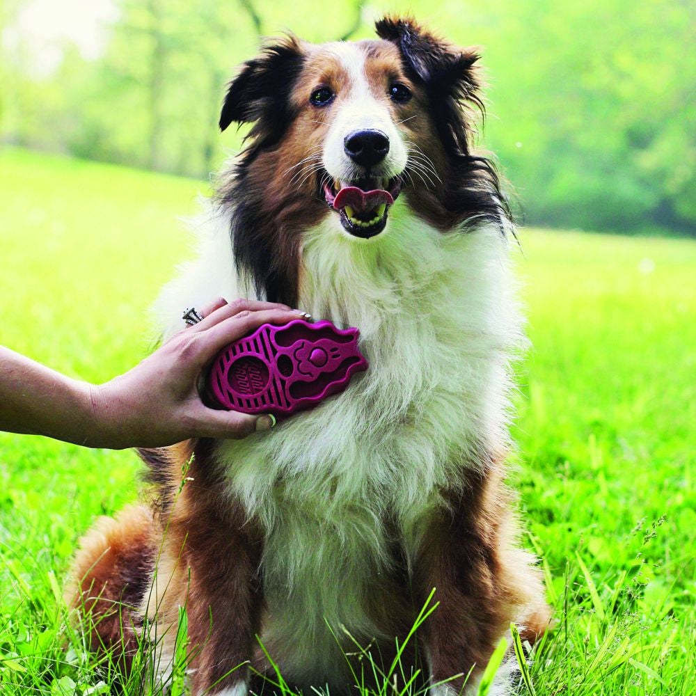 Kong Zoom Groom Dog Azúl