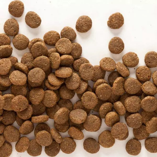 Wholesome Whitefish Grain Free