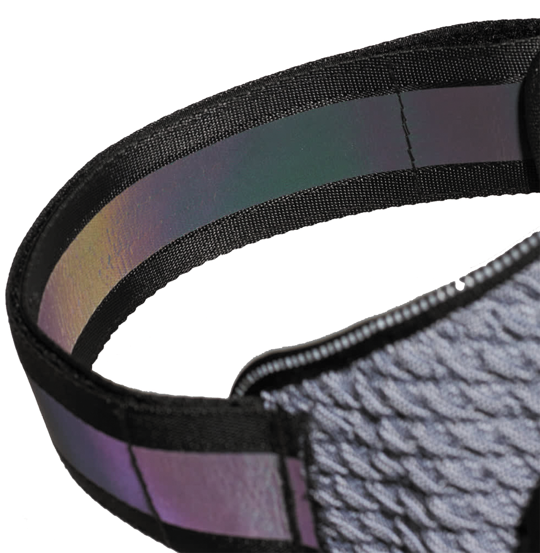 Flyharness Urban ZeeDog