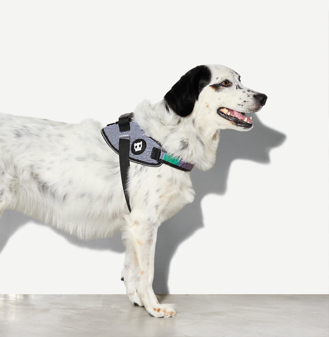Flyharness Urban ZeeDog