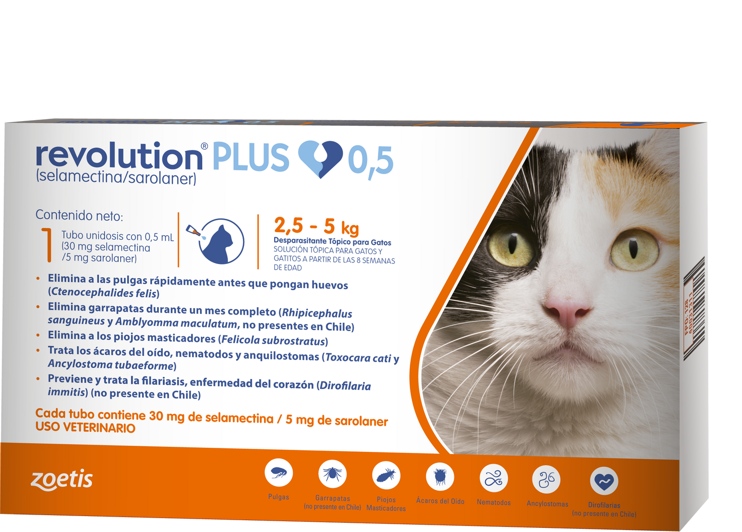 Revolution Plus Gato