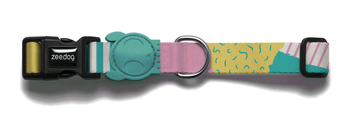Salina Collar ZeeDog