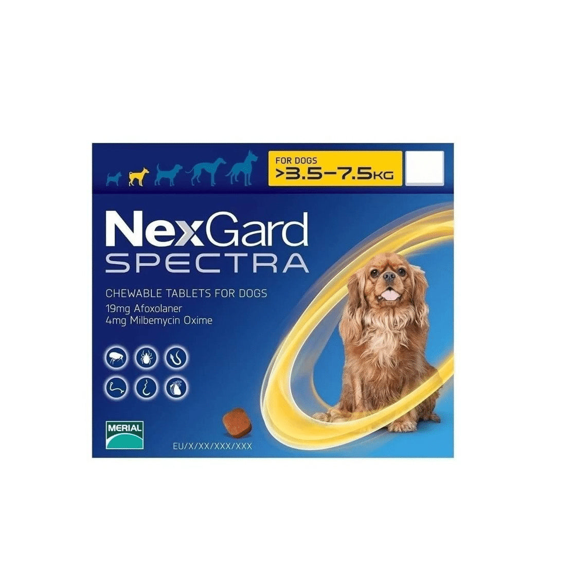NEXGAR Spectra 1 Comprimido