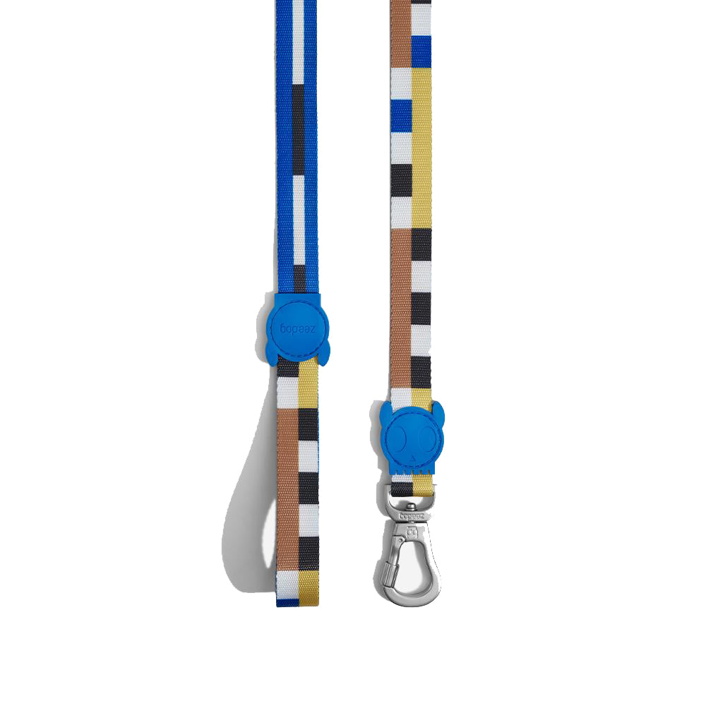 Blocks Leash ZeeDog