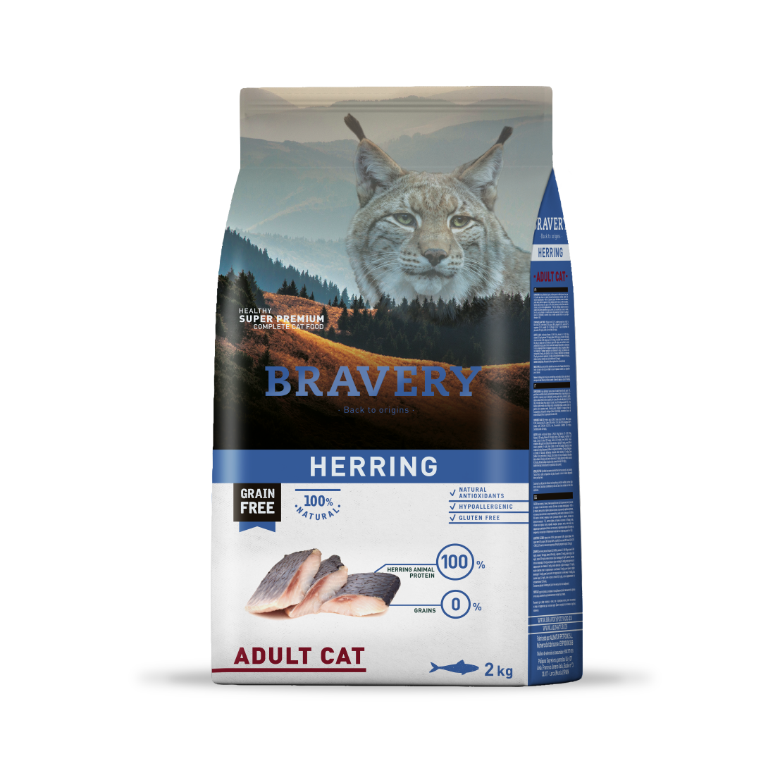 Bravery Cat Adult Herring