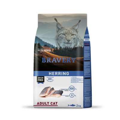 Bravery Cat Adult Herring