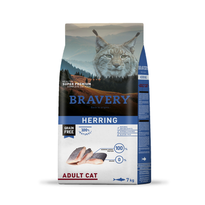 Bravery Cat Adult Herring
