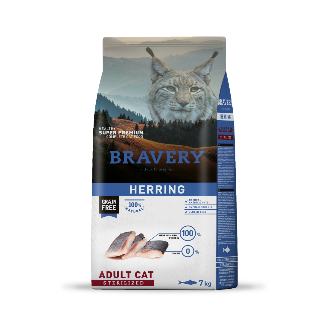 Bravery Cat Adult Herring Sterilized