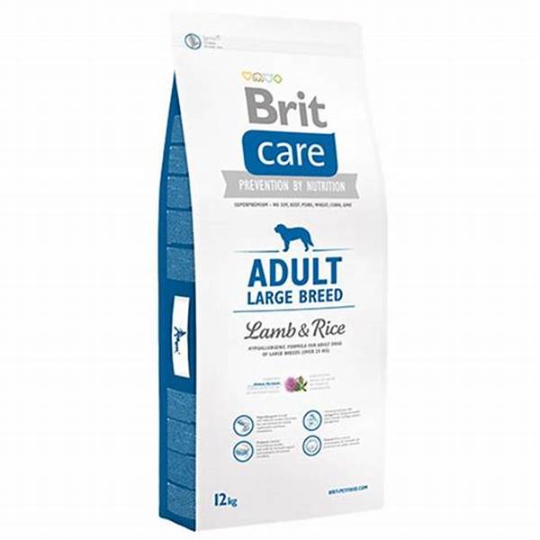 Brit Care Adult Large Breed L&R