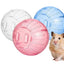 Bola Hamster Carno