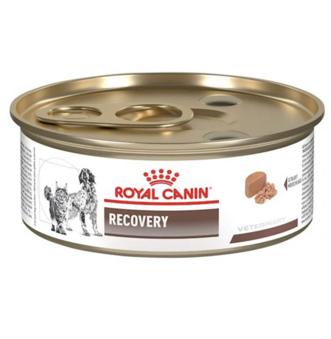 Royal Canin Recovery RS